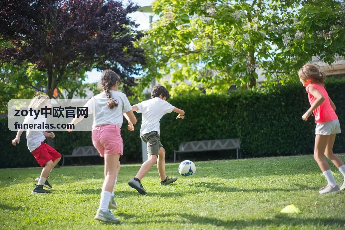 zoty中欧官网会员权益与专属资源栏目配图