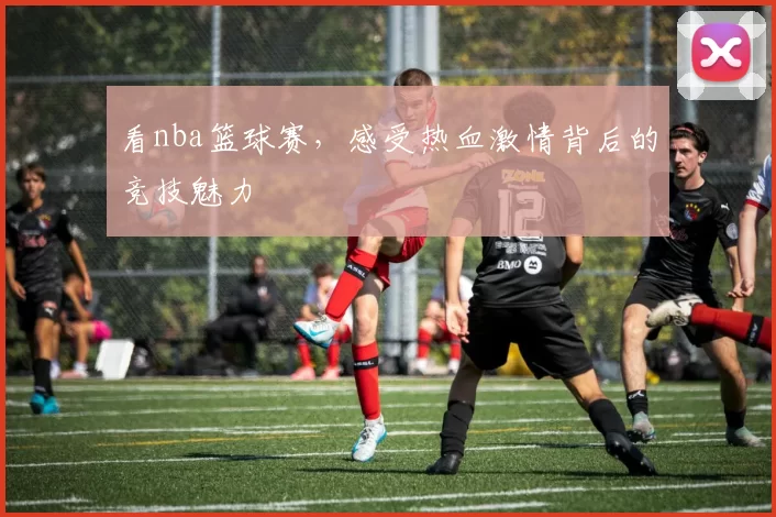 看nba篮球赛，感受热血激情背后的竞技魅力