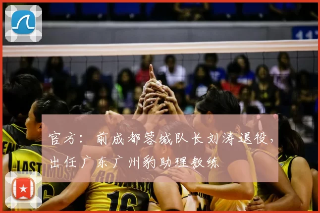 官方：前成都蓉城队长刘涛退役，出任广东广州豹助理教练