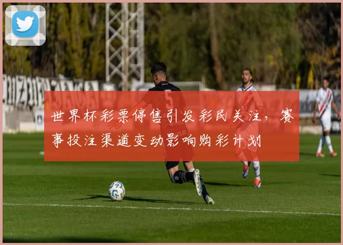 世界杯彩票停售引发彩民关注,赛事投注渠道变动影响购彩计划